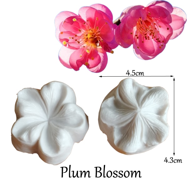 Plum Blossom-29