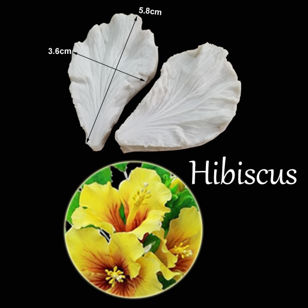 Hibiscus-10