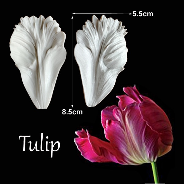 Tulip-350850