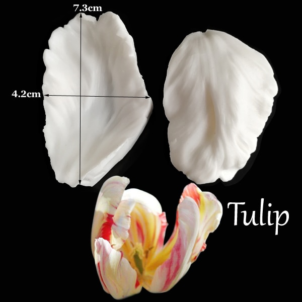 Tulip-618