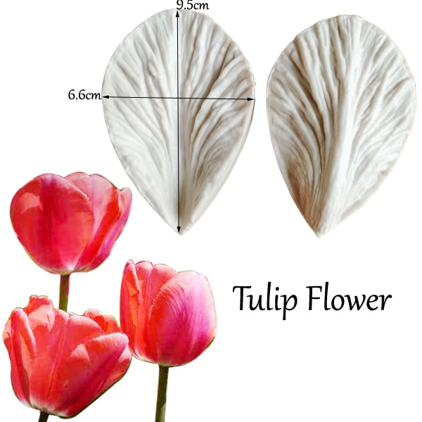 Large Tulip