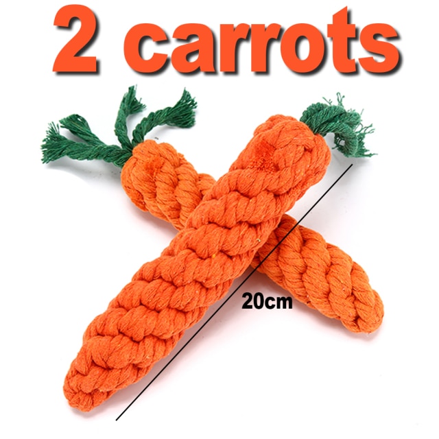 2pcs Carrots