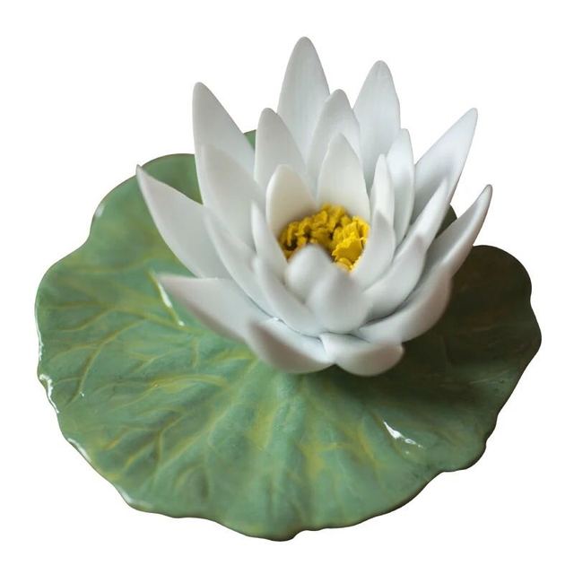 Water lily tea pet