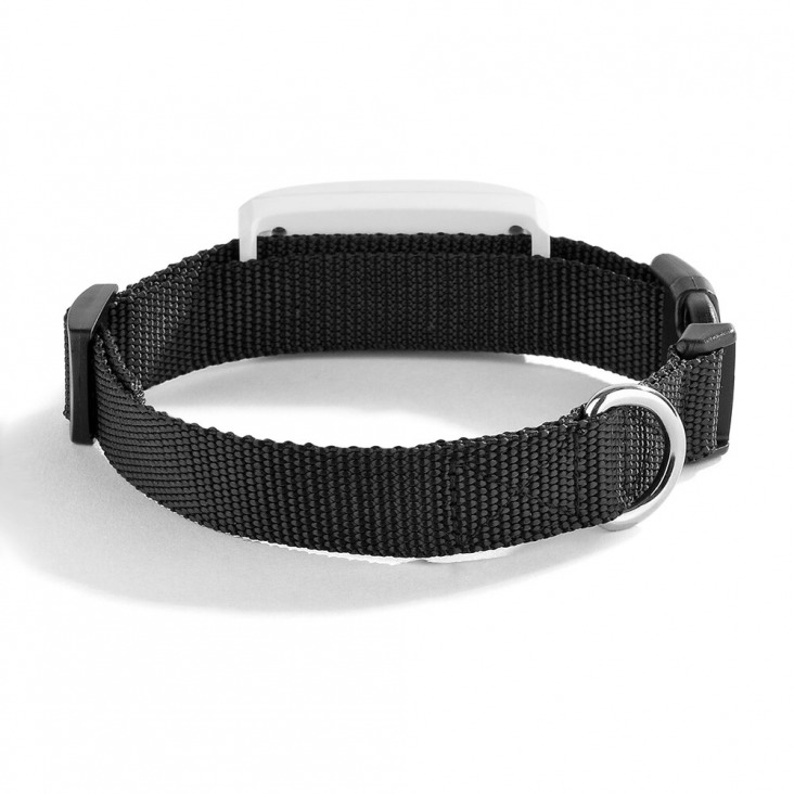 2G Gsm Gps Tracker Pet Tk911 Gps Locator Tkstar Mini Gps Pets Tracker