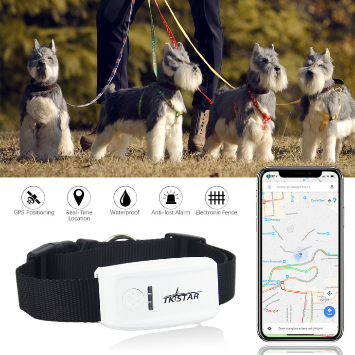 Tk909 Gps Tracker Tkstar Vízálló Lokátor Galléros Tracker Pet Dog Cat