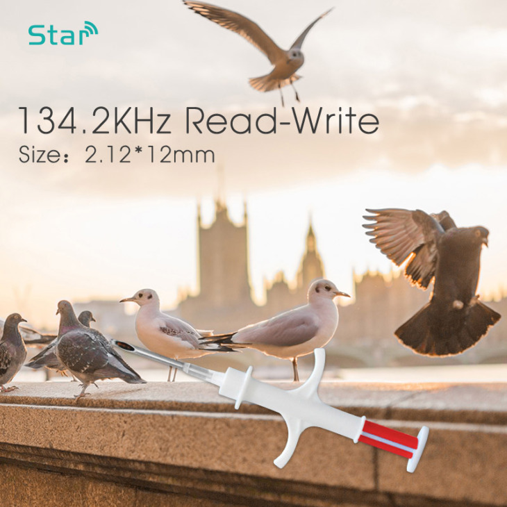 Chips Galambok Lektor Azonosító Állatok Leator Mikrochip Pet Chip