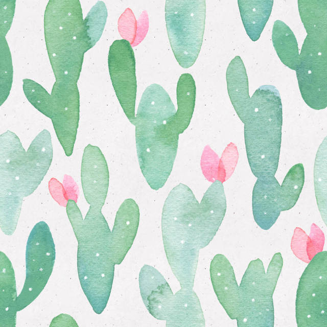 Cactus Pattern