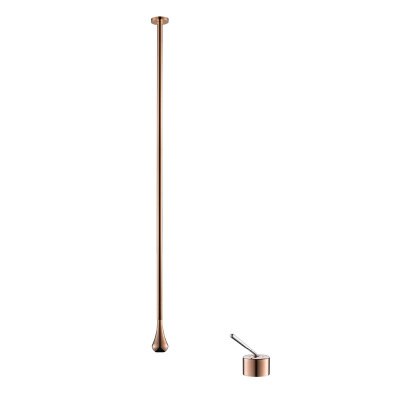 rose gold D Mounted