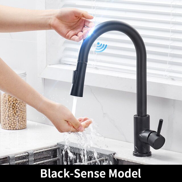 Black-Sense Model