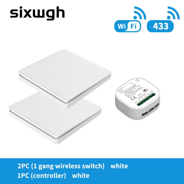2x1gang 1Receiver