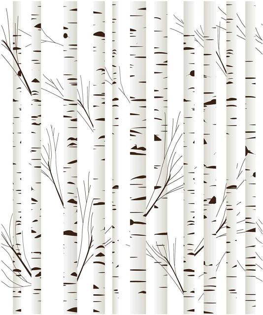 White Birch Tree