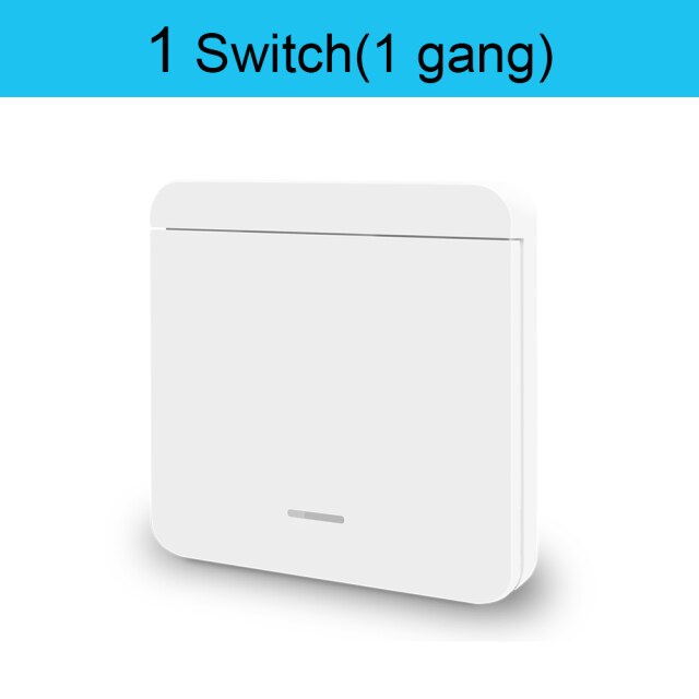 1W-1gang