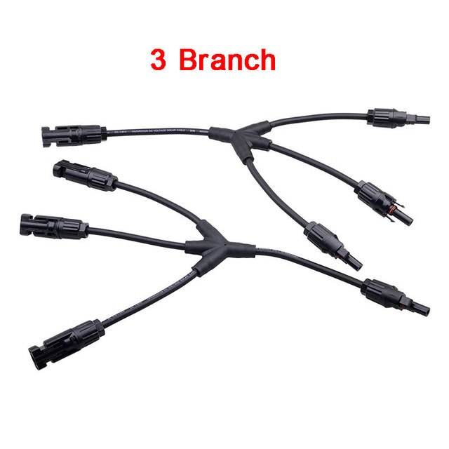 3 Branch