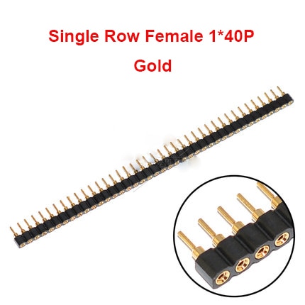 Female 1x40P Gold