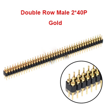 Male 2x40P Gold