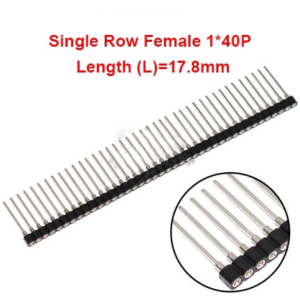 Female 1x40P Long