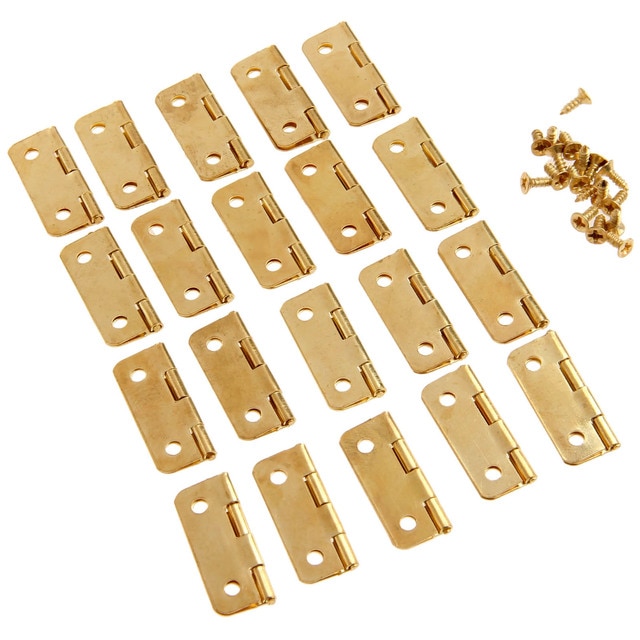 20 Hinges 80 Screws