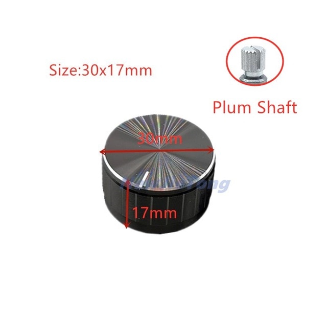 30x17mm Plum Shaft