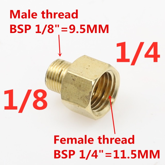 01 M x 02 F