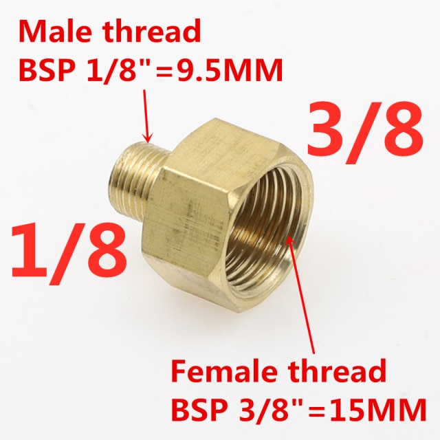 01 M x 03 F