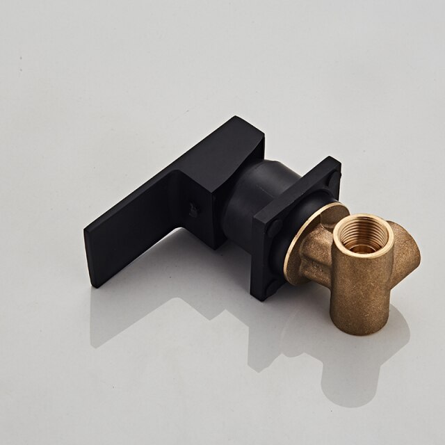 Black valve