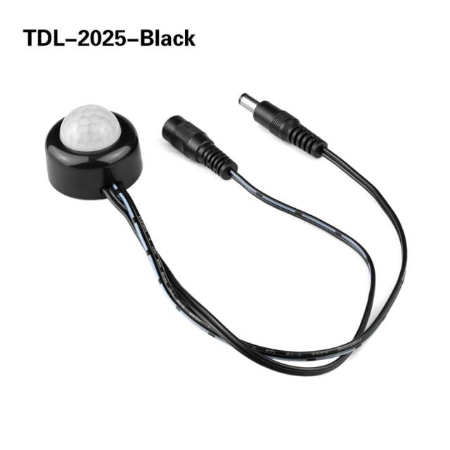 TDL2025-Black Body