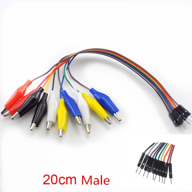 20cm male