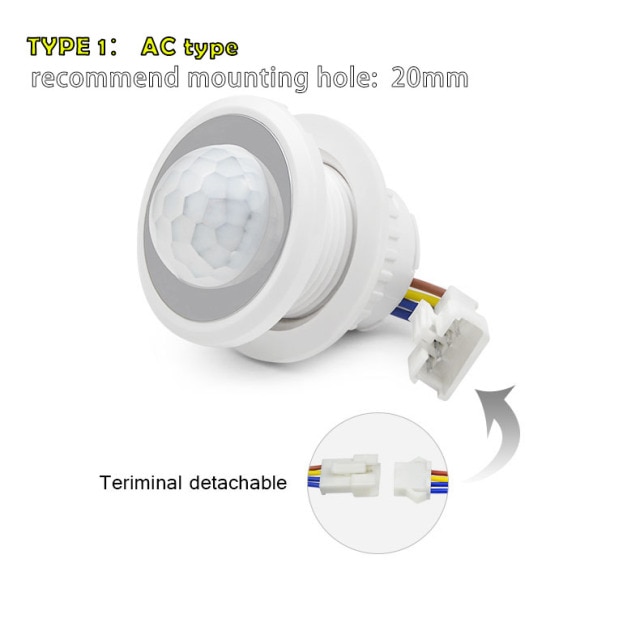 type 1