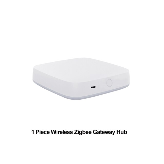 1 piece Gateway