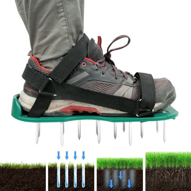 1 Pair