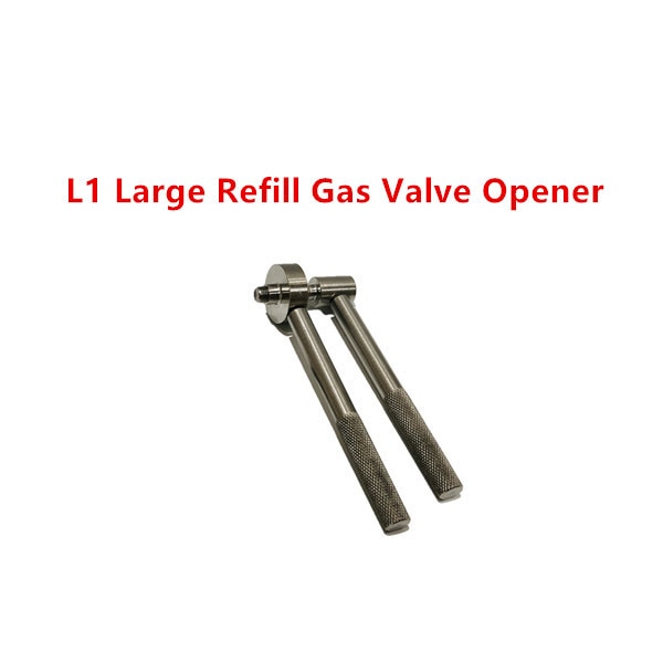 L1 Large