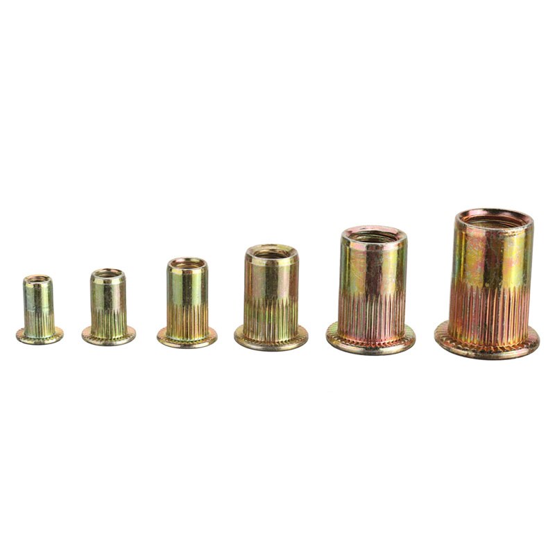 300Db M3 M4 M6 M8 M3 M3 M4 M6 M8 M10 Circ Plated Lapal Head Rivet Nuts