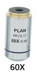60X