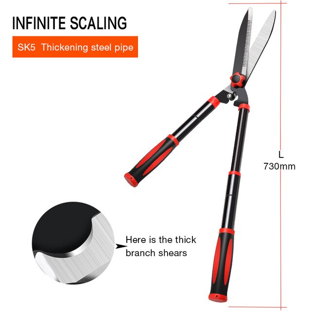 730MM