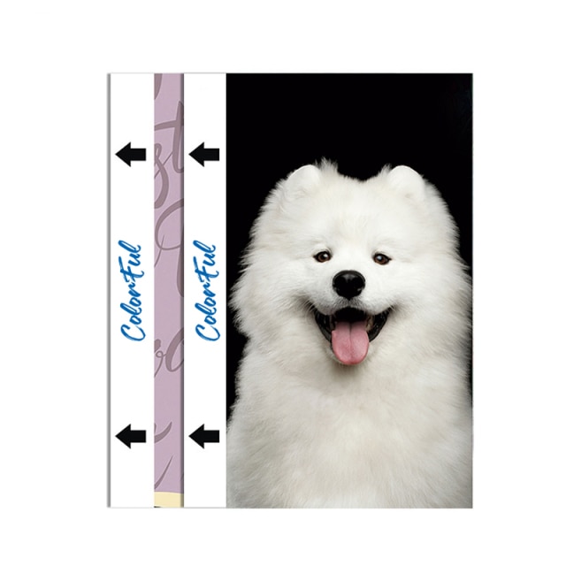 50pcs Back film