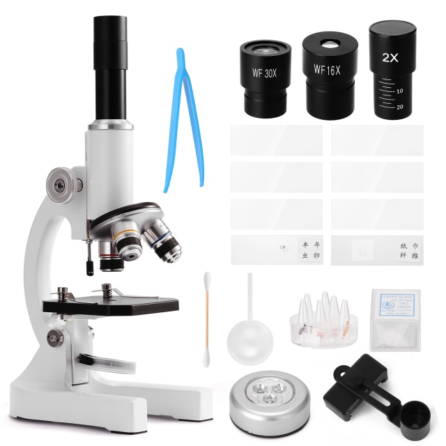 Microscope
