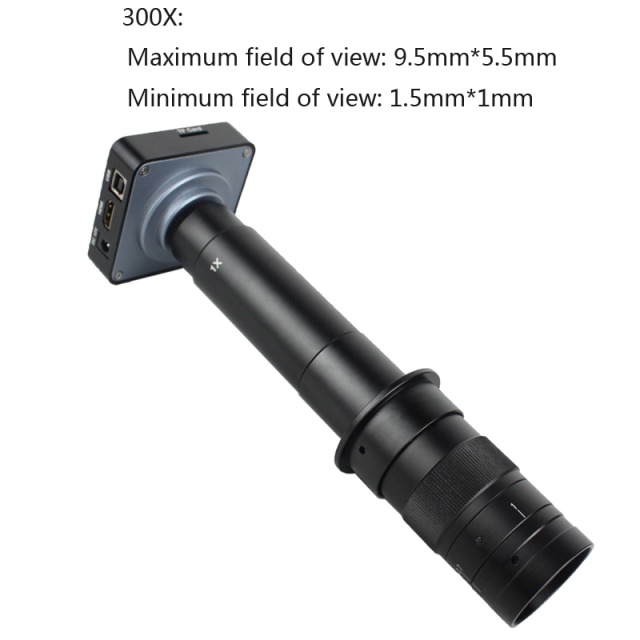 300X 38MP