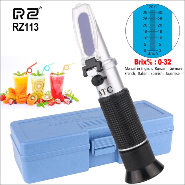 RZ113