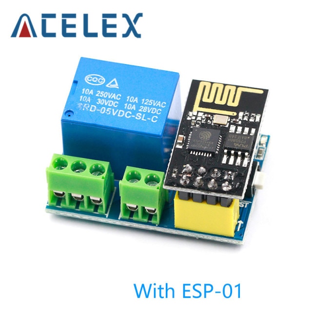 With ESP-01