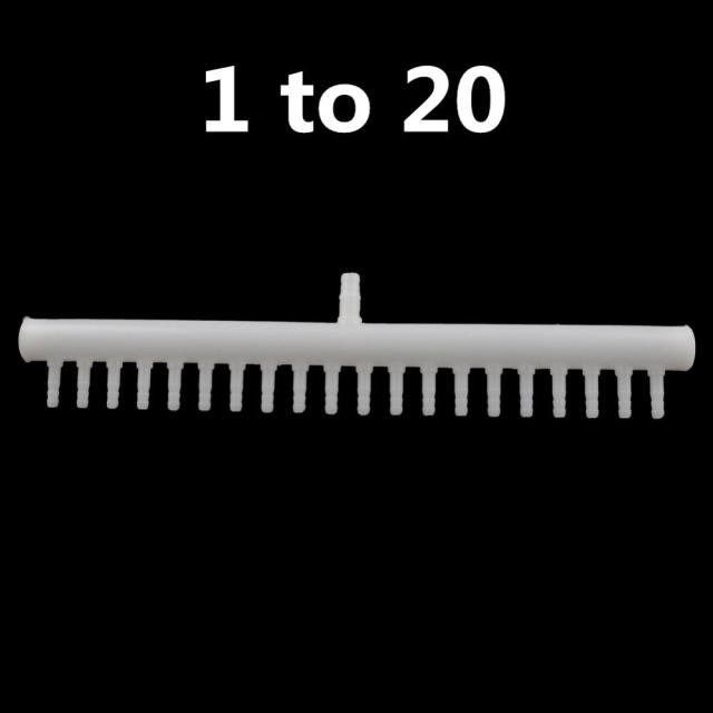 1 to 20
