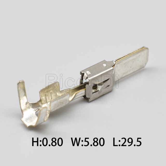Male Terminal