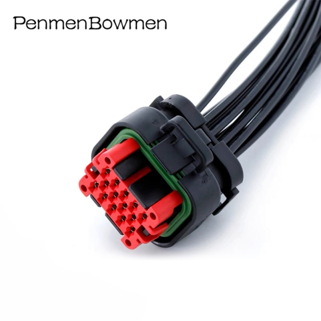 14P Wire Harness