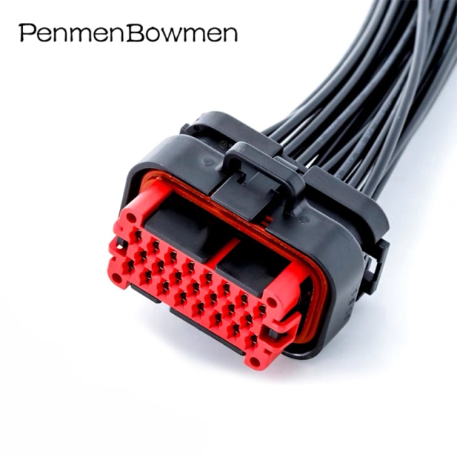 23P Wire Harness
