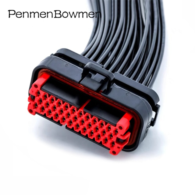 35P Wire Harness