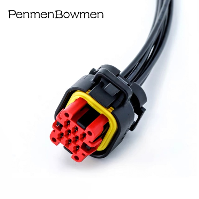 8P Wire Harness