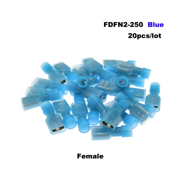 FDFN female blue