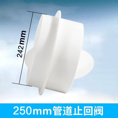 250mm