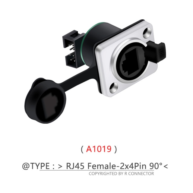 A1019