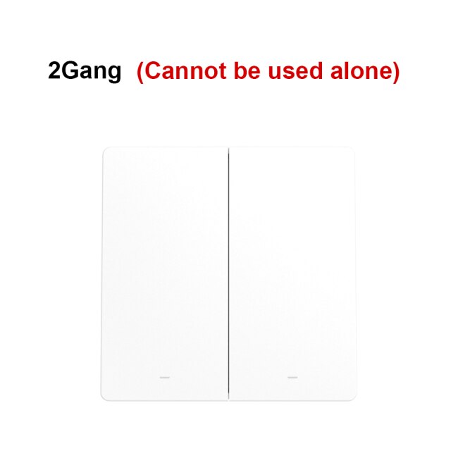 2 gang switch