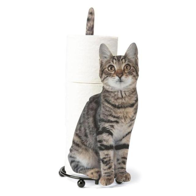 brown cat